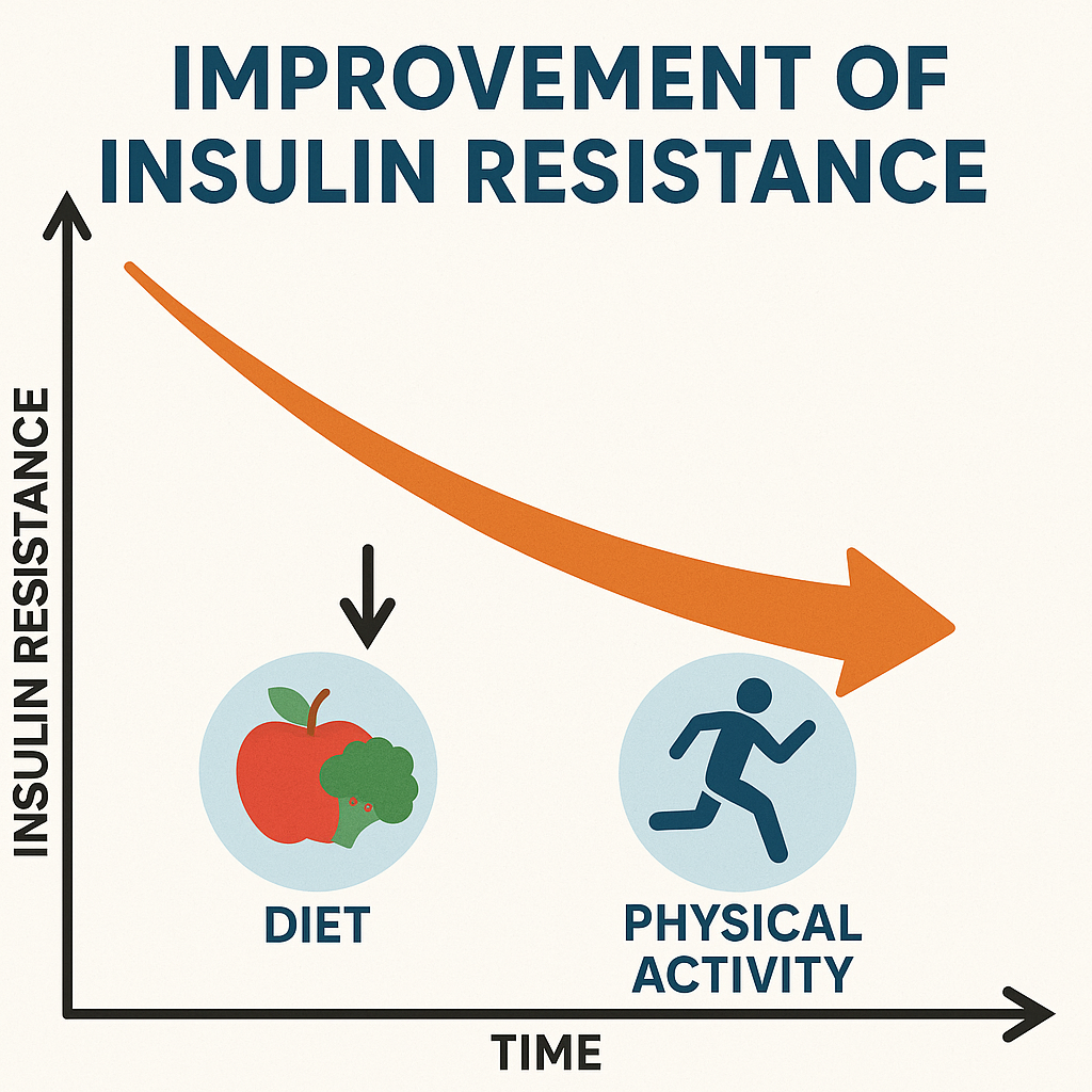 Graph showing about improvement of insulin resistance