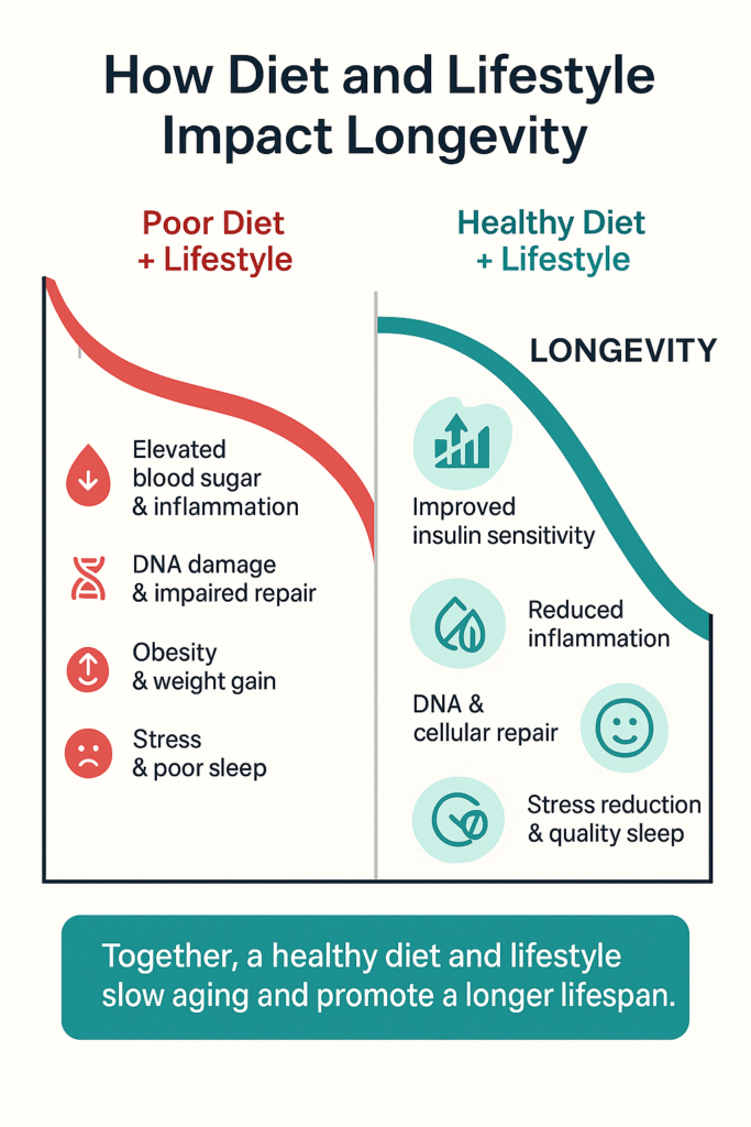 Infographic titled “How Diet and Lifestyle Impact Longevity” with a split design. The left side in red, labeled “Poor Diet + Lifestyle,” shows a downward curve with icons for elevated blood sugar & inflammation, DNA damage & impaired repair, obesity & weight gain, and stress & poor sleep. The right side in teal, labeled “Healthy Diet + Lifestyle,” shows an upward curve with icons for improved insulin sensitivity, reduced inflammation, DNA & cellular repair, and stress reduction & quality sleep. At the bottom, a banner states: “Together, a healthy diet and lifestyle slow aging and promote a longer lifespan.”