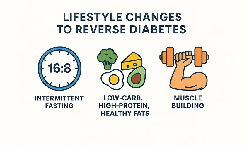“Infographic titled ‘Lifestyle Changes to Reverse Diabetes.’ It features three sections: a clock labeled 16:8 representing intermittent fasting, a plate with avocado, egg, broccoli, cheese, and fish representing a low-carb, high-protein, healthy fats diet, and an arm lifting a dumbbell representing muscle building. Clean flat-style design on a light beige background.”
