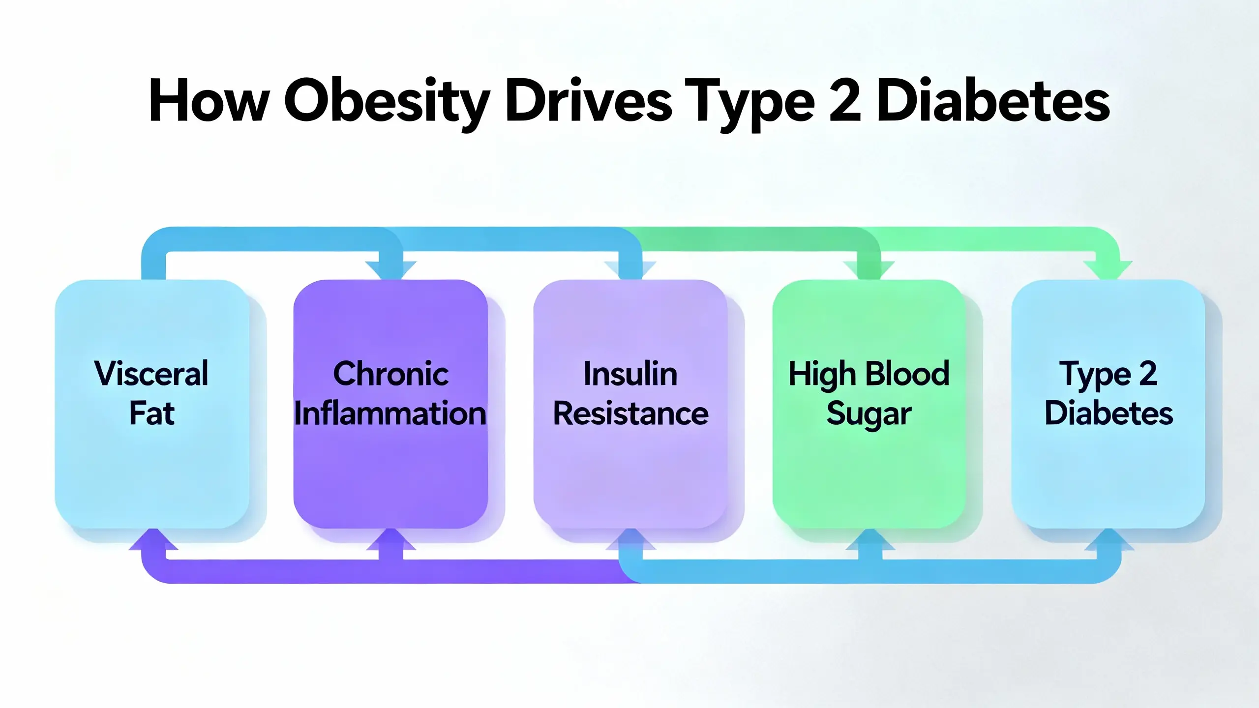 Flow chart explaining the obesity and type 2 diabetes connection, titled ‘How Obesity Drives Type 2 Diabetes,’ showing the progression: Visceral Fat → Chronic Inflammation → Insulin Resistance → High Blood Sugar → Type 2 Diabetes.