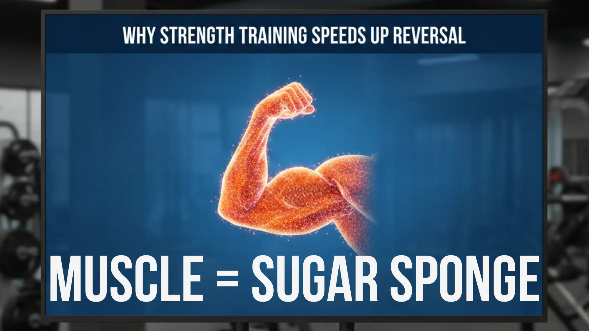 A digital graphic explaining how long does it take to reverse diabetes, showing why strength training speeds up reversal. It features a blurred gym background, a glowing orange illustration of a flexed muscular arm, and the text “Muscle = Sugar Sponge,” highlighting faster diabetes reversal through muscle building.