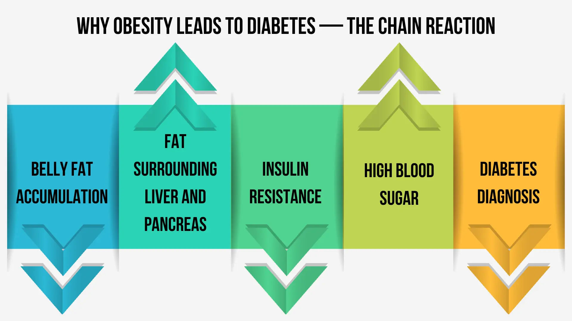 Infographic titled "WHY OBESITY LEADS TO DIABETES — THE CHAIN REACTION" illustrating how belly fat accumulation progresses to insulin resistance and high blood sugar, highlighting the importance of obesity reversal for diabetes.