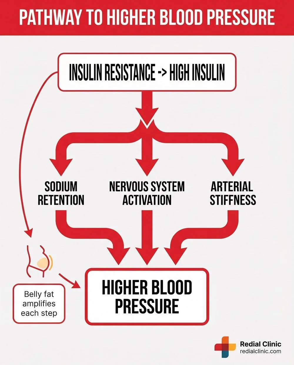 Infographic showing how insulin resistance raises blood pressure via sodium retention, ner Infographic showing how insulin resistance raises blood pressure via sodium retention, nervous system activation and arterial stiffness