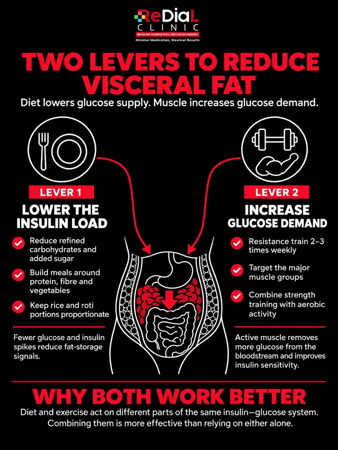 Infographic: two levers to reduce visceral fat—Lever 1 lowers insulin load through diet, Lever 2 raises glucose demand through resistance training. Both work on the same insulin–glucose system. ReDiaL Clinic.