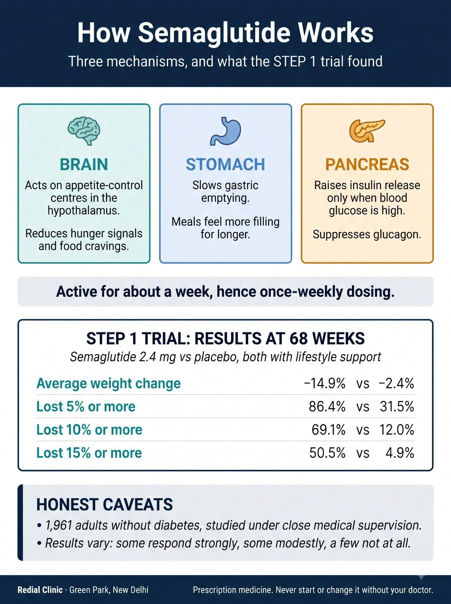 Infographic: how semaglutide acts on brain, stomach and pancreas, with STEP 1 results of 14.9% vs 2.4% at 68 weeks